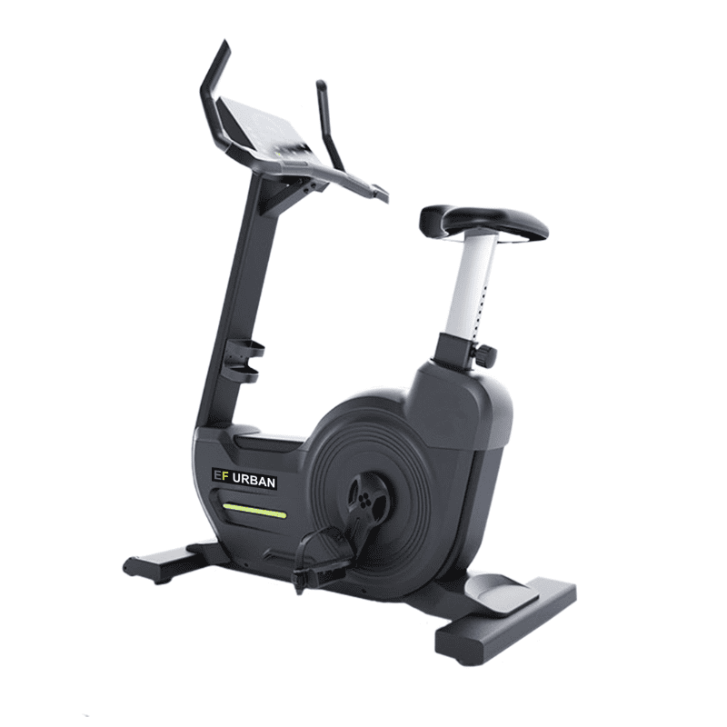 Urban Upright Bike