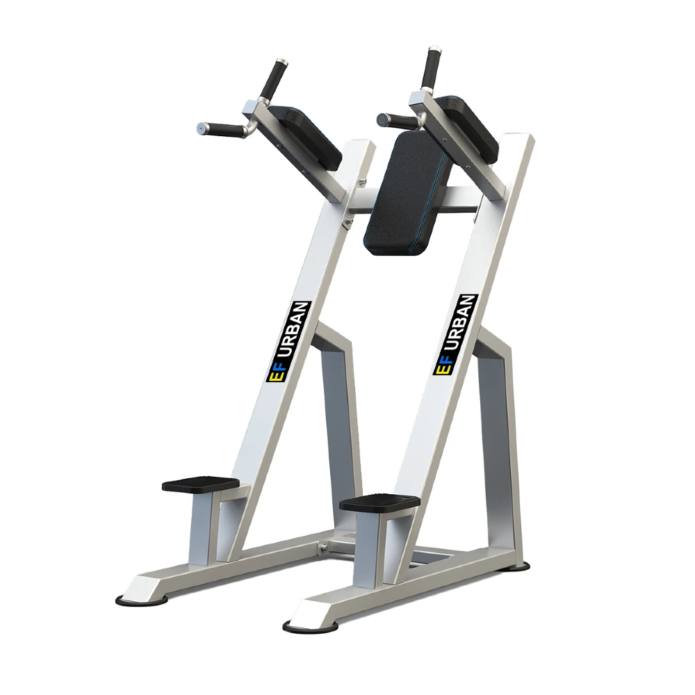U2047 Vertical Knee up/dip