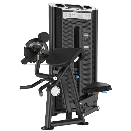 Urban Camber Curl and Triceps