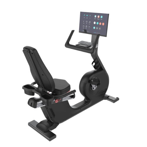 Urban Recumbent with Screen