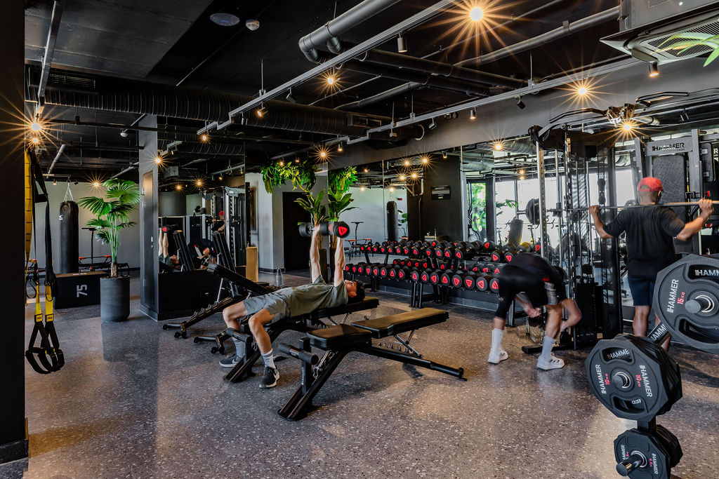 The One Gym Stellenbosch completed installation featuring adjustable benches, a dumbbell rack with dumbbells, and a multi-function smith machine with cable attachments, with people using the equipment.