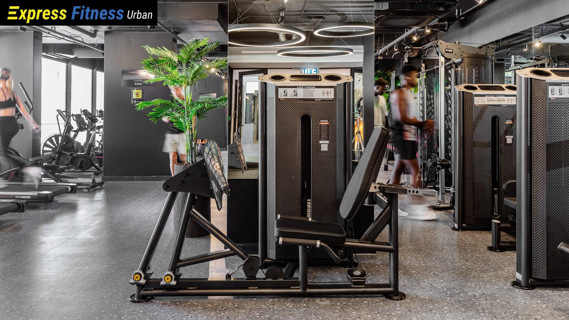 The 6 Express Fitness Urban Dual Machines That Build a Whole Gym