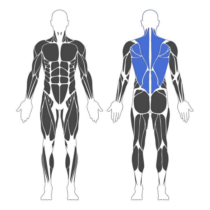 Strength Guide Back Strength Guide Back