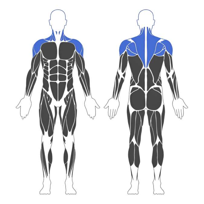 Strength Guide Shoulders Strength Guide Shoulders